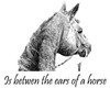 Horse T-shirt - Between a Horse's Ears