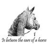 Sweatshirt - Between the Ears of a Horse