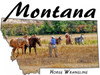 Montana horse wrangler design