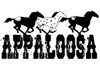 Horse Lover's Refrigerator Magnet -Appaloosa