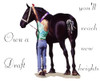 Percheron Draft horse design - Reach New Heights