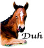 Young horse Duh t-shirt design