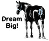 Dream Big design for kids who love horses