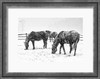 Art Print - Montana Blizzard - Ranch horses turn tail to a Montana blizzard