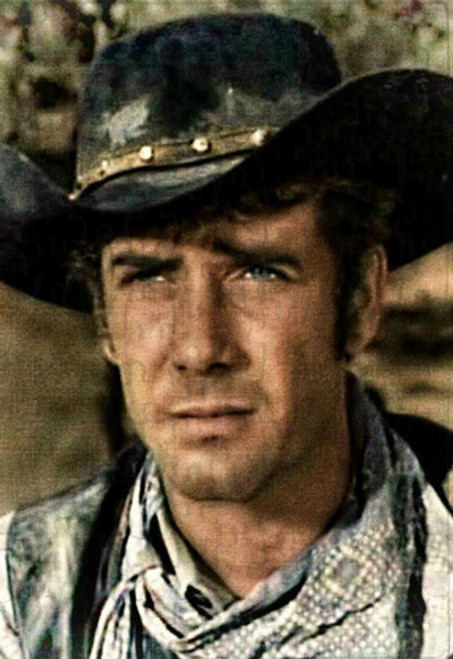 Robert Fuller Jigsaw Puzzle - Jess #3