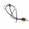 D245116 AMPLIFIER (HOMELITE ORIGINAL OEM)