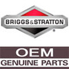 Product Number 499315 BRIGGS and STRATTON