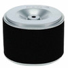 Stens 100818 GX240 Air Filter Combo