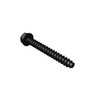 1143751 SCREWHWH PLASTITE (TORO ORIGINAL OEM)