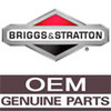 Product Number 698556 BRIGGS and STRATTON