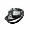COIL IGNITION MODULE (STIHL) 12220