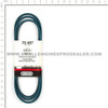 75-497 - BELT PREMIUM WRAPPED - OREGON - Image 2