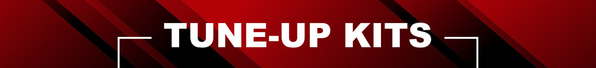 Tune-up Kits