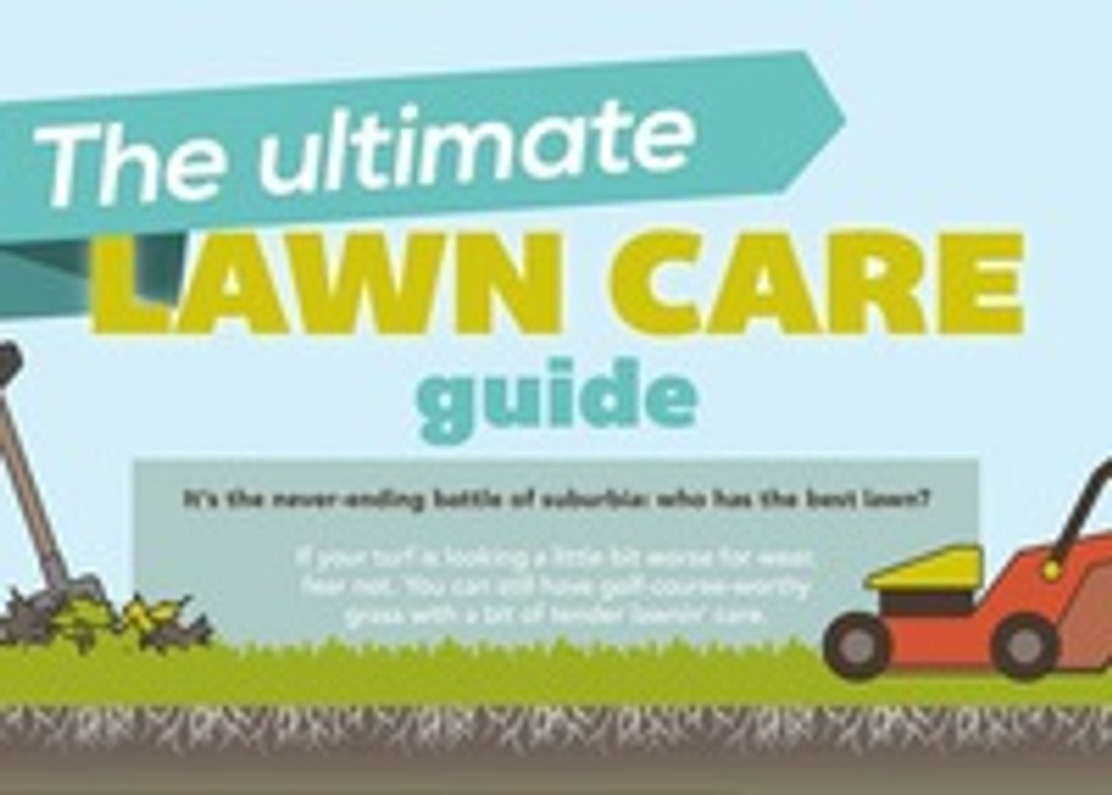 Lawn Care Guide