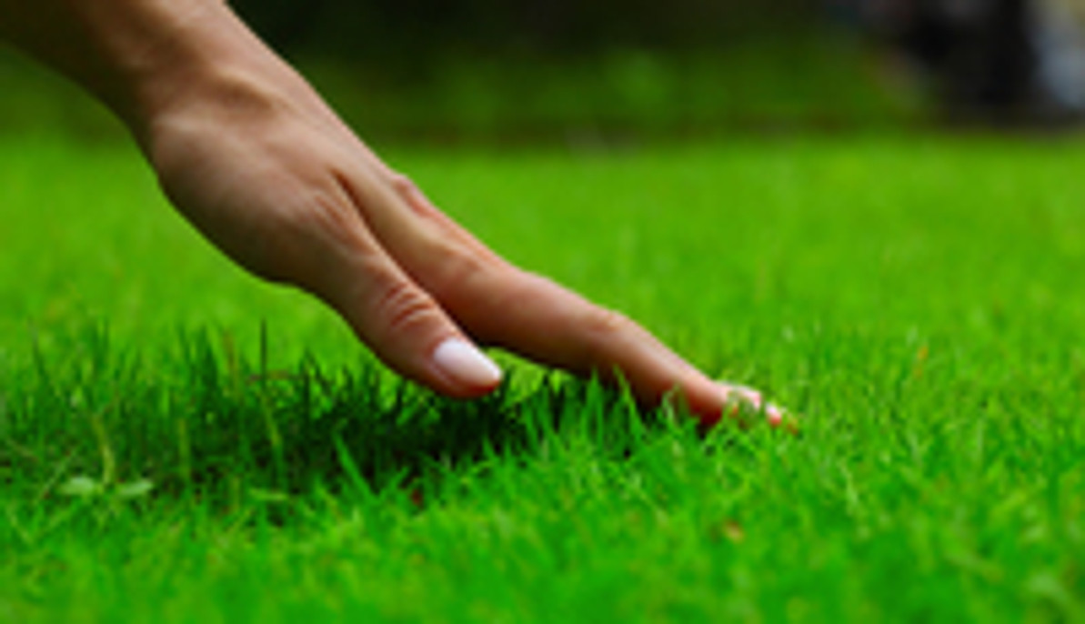 Lawn fertilization tips and proper procedure