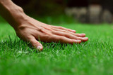 Lawn Care Tips #1