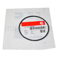 ONAN 3899283 - SEAL O RING -IMAGE4