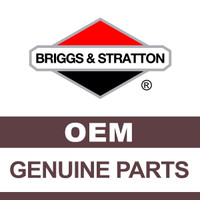 BRIGGS & STRATTON PULLER NUT 19139 - Image 1