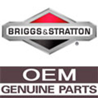 Product Number 19318 BRIGGS and STRATTON