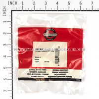 BRIGGS & STRATTON FLOAT-CARBURETOR 99333 - Image 4