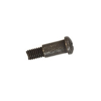 RYOBI/RIDGID 089240003018 - SCREW PHILLIPS M5X17MM (Original OEM part)