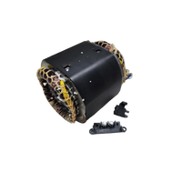 310772039 - ASSEMBLY STATOR (HOMELITE ORIGINAL OEM)