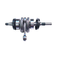 ECHO ASSY, CRANKSHAFT P021015072 - Image 1