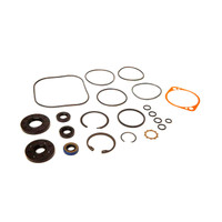 100-6110 - OVERHAUL SEAL KIT - (TORO ORIGINAL OEM)