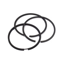 BRIGGS & STRATTON RING SET-020 690016 - Image 1 BRIGGS & STRATTON RING SET-020 690016 - Image 1