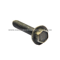 BRIGGS & STRATTON SCREW 691061 - Image 1