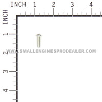 BRIGGS & STRATTON part 796137 - KIT-CARB OVERHAUL - Image 2