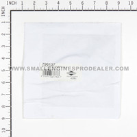 BRIGGS & STRATTON part 796137 - KIT-CARB OVERHAUL - Image 8