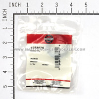 BRIGGS & STRATTON SEAL-OIL 495307S - Image 3