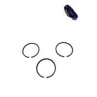 RING PISTON SET (STD) BRIGGS AND STRATTON - (BRIGGS & STRATTON) - 1453