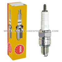 77-253 - SPARK PLUG NGK - OREGON -image2