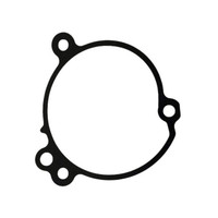 KOHLER ED0045802460-S - WATER PUMP GASKET-image1