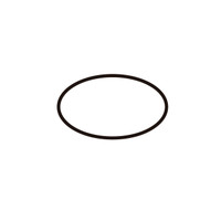 ECHO O-RING P006000190 - Image 1