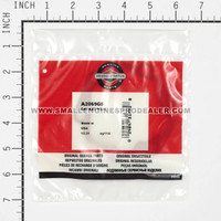 BRIGGS & STRATTON GASKET-HEAD A2069GS - Image 3