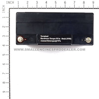 BRIGGS & STRATTON BATTERY 193463GS - Image 3