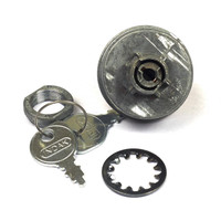 BRIGGS & STRATTON SWITCH AND KEY 421064MA - Image 1