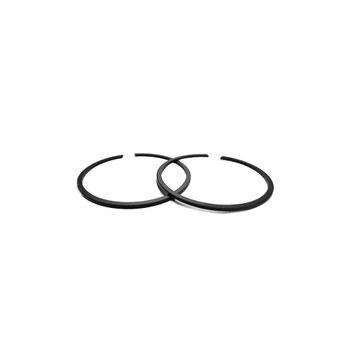 ECHO RING, PISTON 10001143230 - Image 1