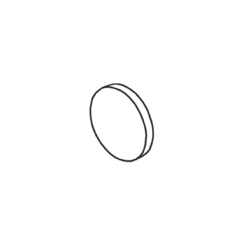 RYOBI/RIDGID 079077052048 - FILTER (Original OEM part)