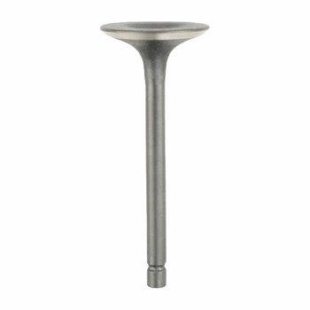 D261702 VALVE IN (HOMELITE ORIGINAL OEM)