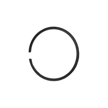 ECHO RING, PISTON A101000150 - Image 1