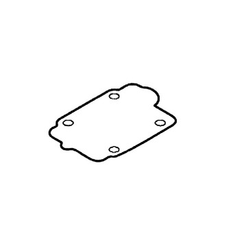 ECHO GASKET, PUMP P003000100 - Image 1