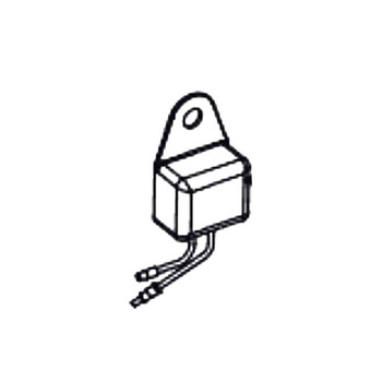 D245117 - AMPLIFIER - Part # AMPLIFIER (HOMELITE ORIGINAL OEM)
