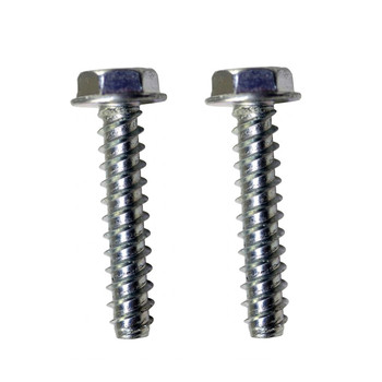 SCREW PLASTITE #8 16 X FOR BILLY GOAT