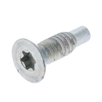 BRIGGS & STRATTON part 796208 - SCREW - (OEM part)