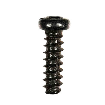 099069001029 - SCREW (HOMELITE ORIGINAL OEM)