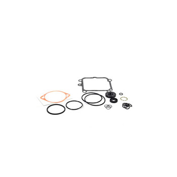 Scag OVERHAUL SEAL KIT HG2513018 - Image 1